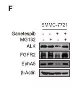 Raybiotech抗体芯片在肝细胞癌相关激酶鉴定及治疗研究中的应用(图10)