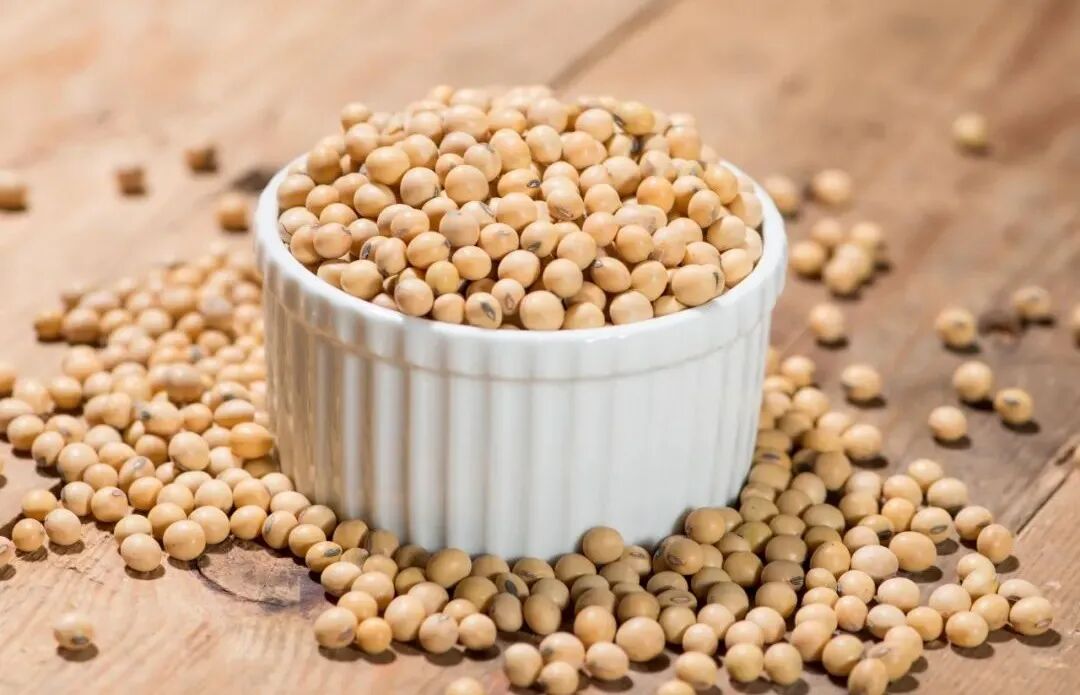 补钙要趁年轻 快来掌握补钙的正确 姿势 全网搜