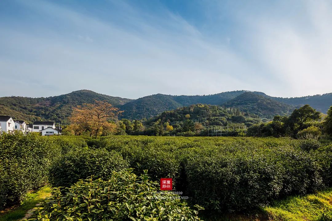 蘇州，鄉村行。 旅遊 第12張