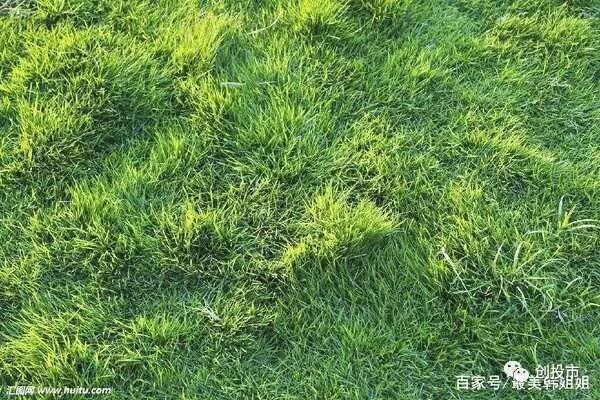 适合男性农村创业项目_适合东北农村创业项目_最新适合农村的五个创业项目