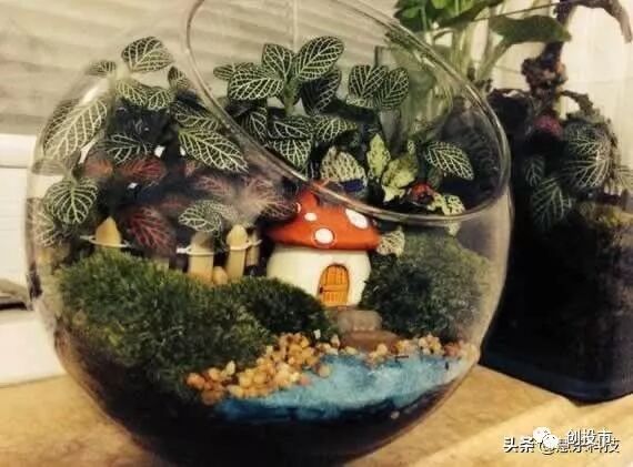 网络创业项目排行榜_好的网络创业项目_网络兼职创业项目演讲稿