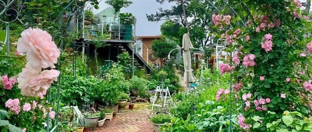 她40岁独自在荒山造1500㎡花园：前半生给家庭，后半生给自己