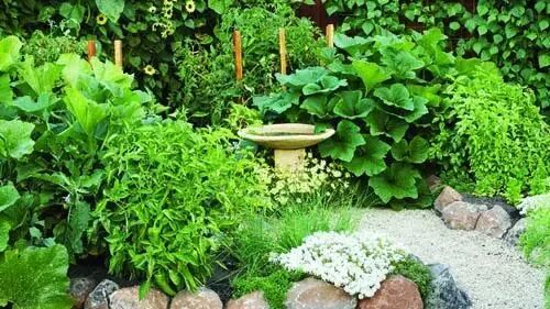 老了，我想和你有个菜园子。