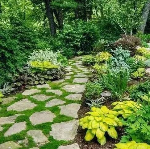 别人家的庭院地面，你能想到的都齐了