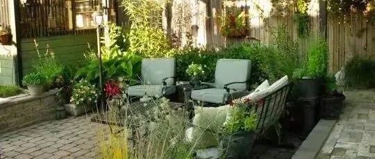 农村庭院这么漂亮，可惜，再也回不去了！