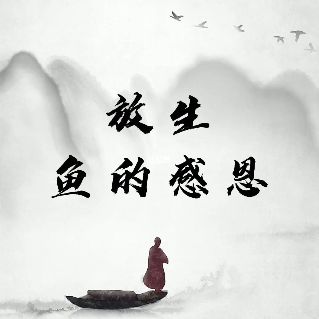 自我感动式的放生，请不要做。