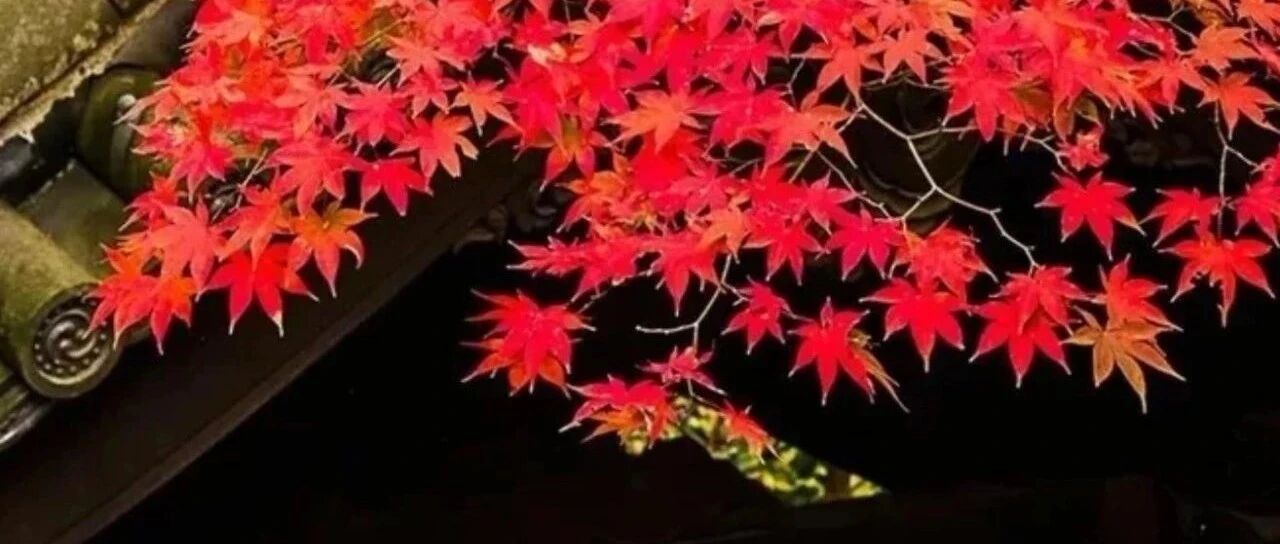 出伏以后，全家一定要这么做！这个提醒太及时了