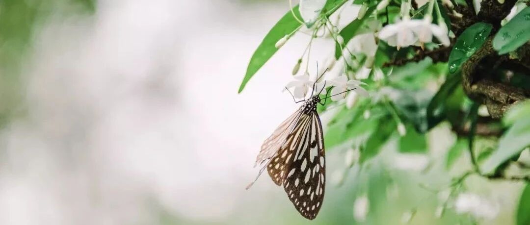 2021三伏到了！最易生病的40天来了，不论男女都要这样做！