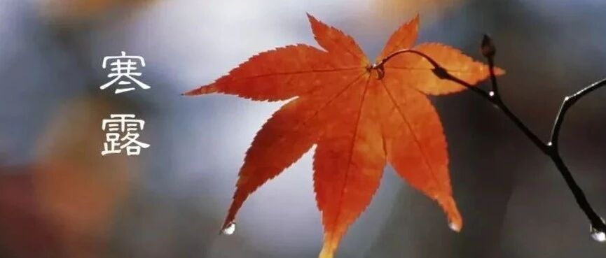 寒露过后：这5个部位冻不得，千万别落下病根！