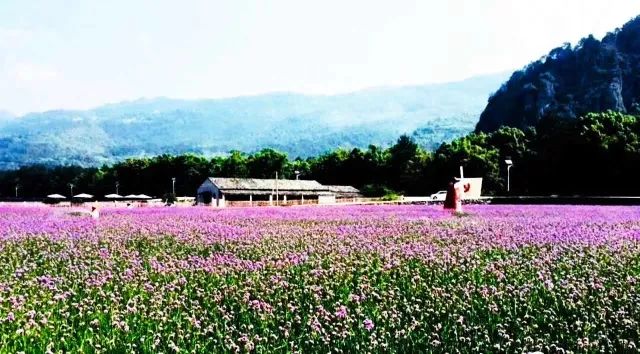 6月9日温州永嘉楠溪江漂流 赏花 观瀑布休闲一日游 新路桥论坛 微信公众号文章阅读 Wemp