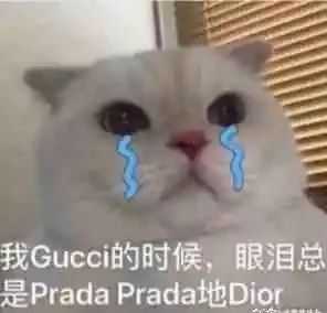 郑爽回应了！全网最全吃瓜指南！