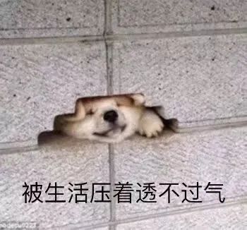 郑爽回应了!全网最全吃瓜指南!-微信头条网 郑爽回应了!全网最全吃瓜指南!
