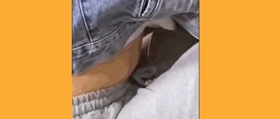 千万不要随便掀开女朋友的衣服！尤其是趁她干饭的时候！羞的没脸看