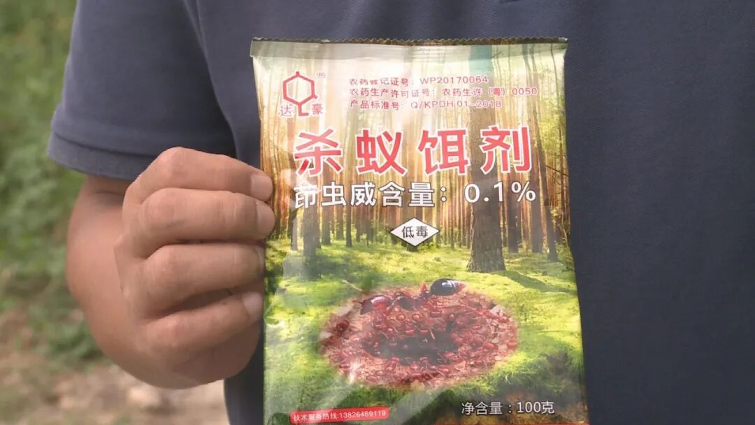 清风社区开展渔民生活区红火蚁防治工作