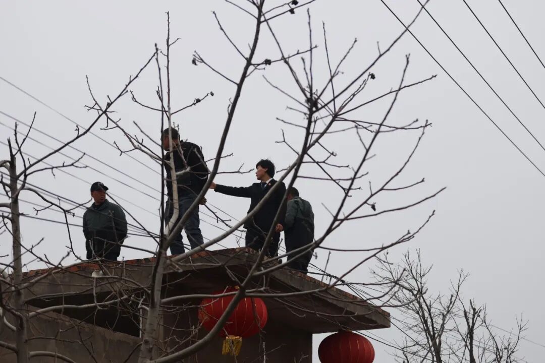 微信图片_20260318152029_539_9.jpg