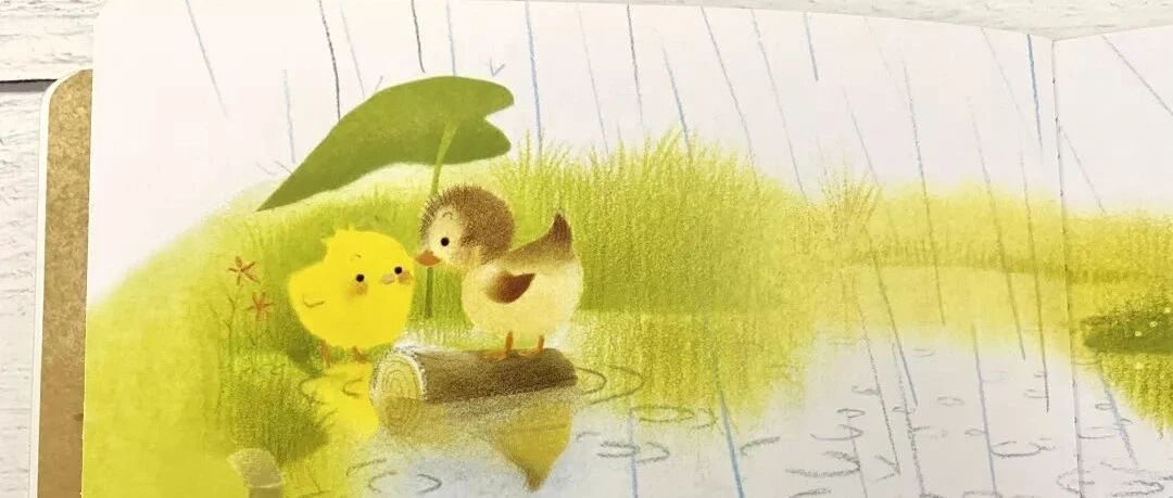 如果只能为孩子选一套绘本，我选它