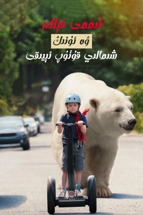 تىممى فېللىر ۋە ئۇنىڭ شىمالىي قۇتۇپ ئېيىقى