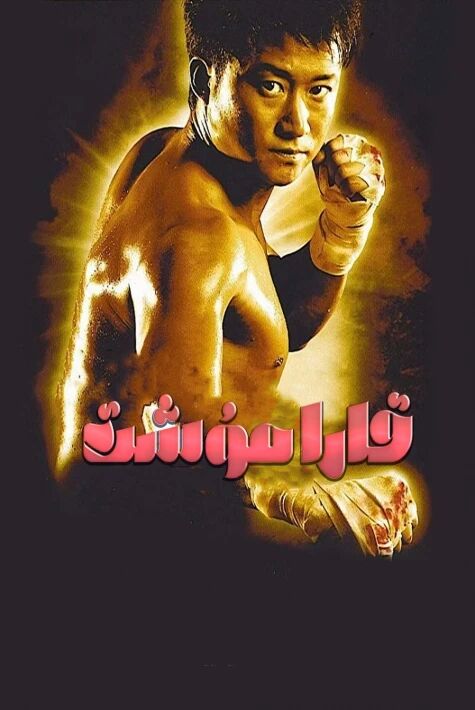 قارا مۇش ۋۇجىڭنىڭ