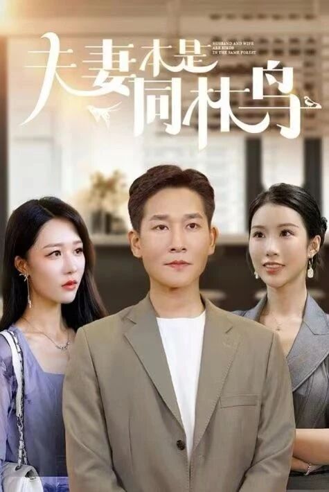 ئەر  خوتۇنلار ئەسلى قەلىپداش