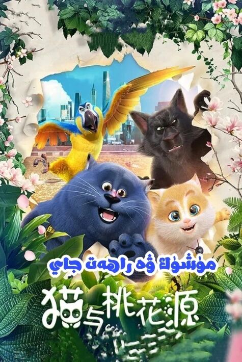 مۈشۈك ۋە راھەت جاي