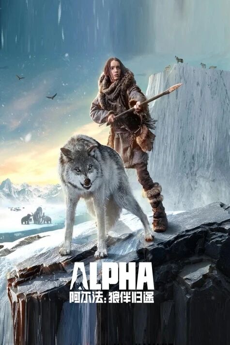 بۆرە ئەلفا : بۆرە بىلەن قايتىش