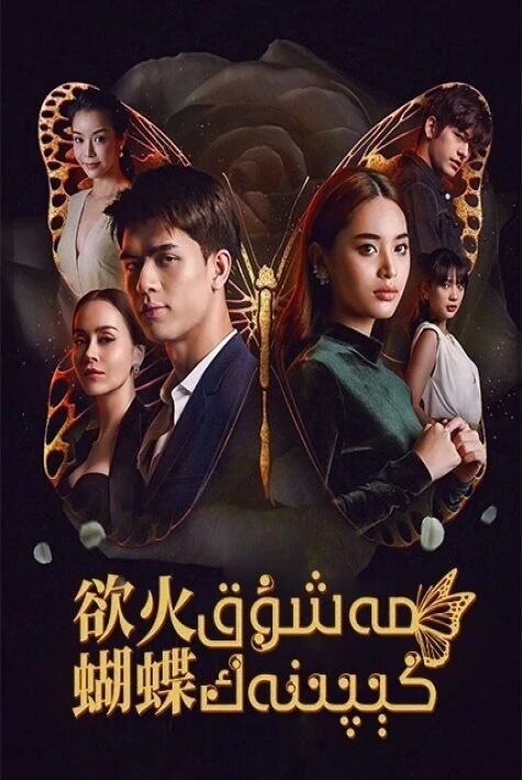 مەشۇق كىپىنەك