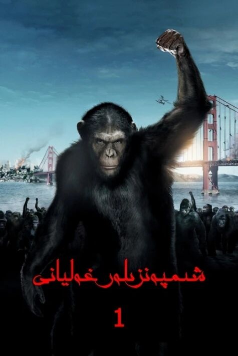 شىمپەنزىلەر غەليانى 1  ھەقسىز