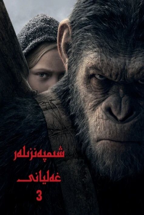 شىمپەنزىلەر غەليانى 3