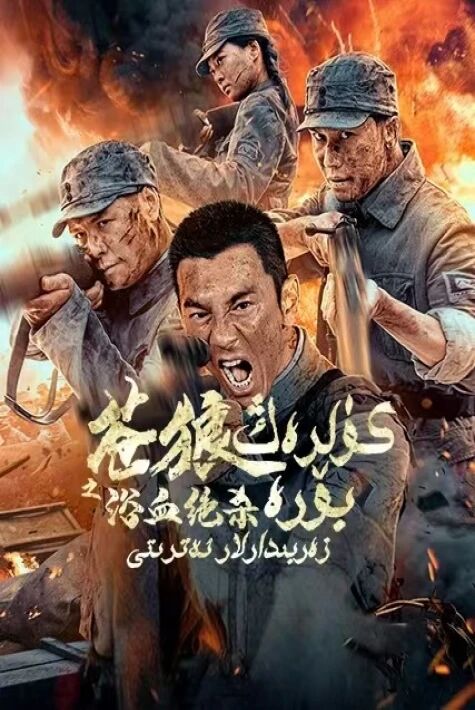 كۈلرەڭ بۆرە زەربىدارلار ئەترىتى