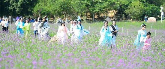 今天，翔安香山好热闹！赏花海、逛市集、尝美食……一站满足你！下午精彩继续~