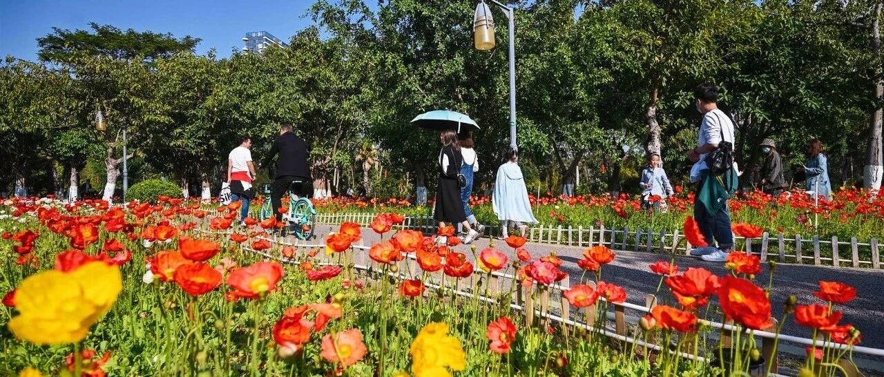 刚刚发布，厦门第一！