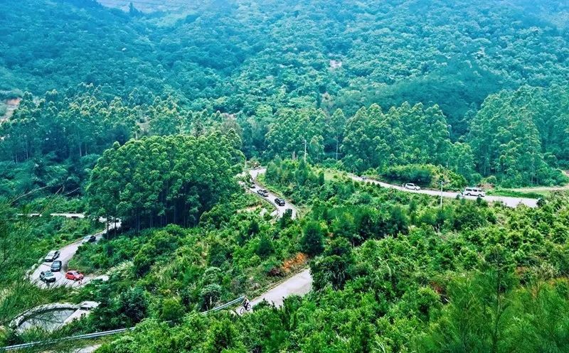 梯田花海、峽谷棧道、香草花園……廈門這個世外桃源了解一下？ 旅行 第4張