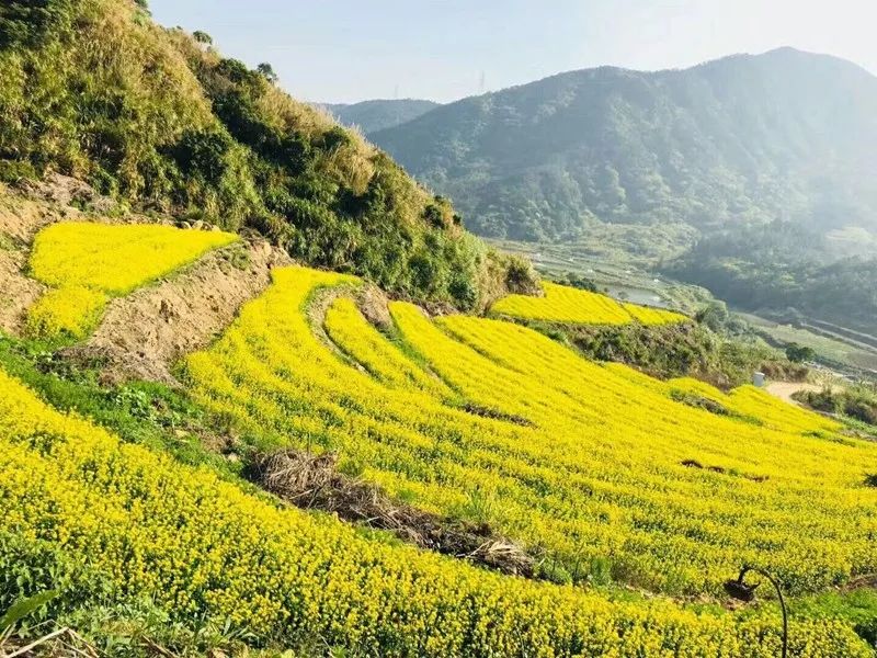 梯田花海、峽谷棧道、香草花園……廈門這個世外桃源了解一下？ 旅行 第8張