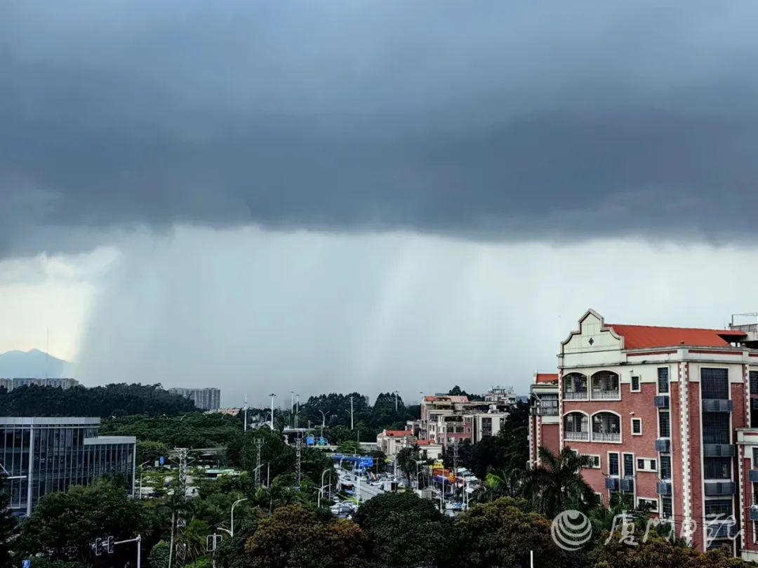 2024年06月12日 厦门天气