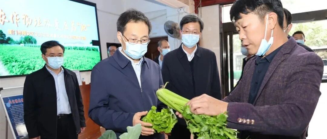 崔永辉到翔安调研推进乡村振兴工作