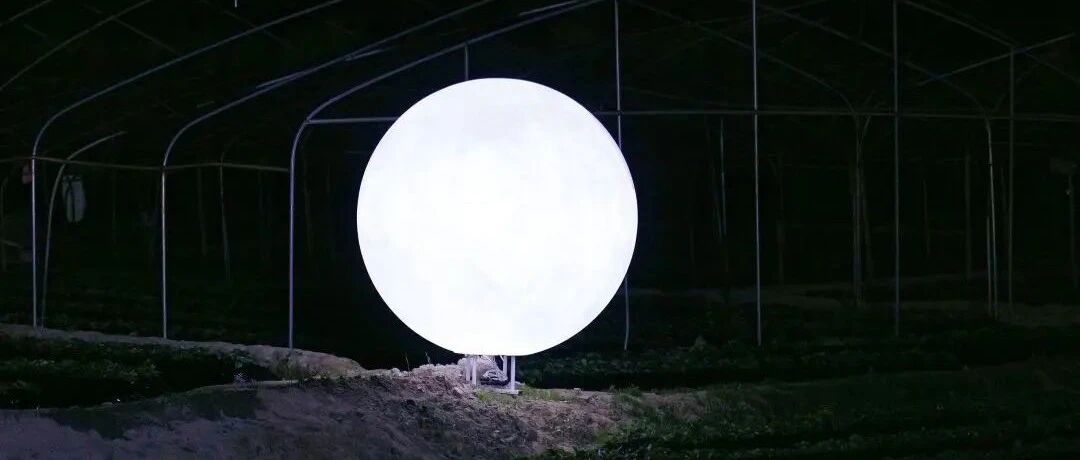 超赞！海沧这个乡村一口气点亮了99个“月亮”