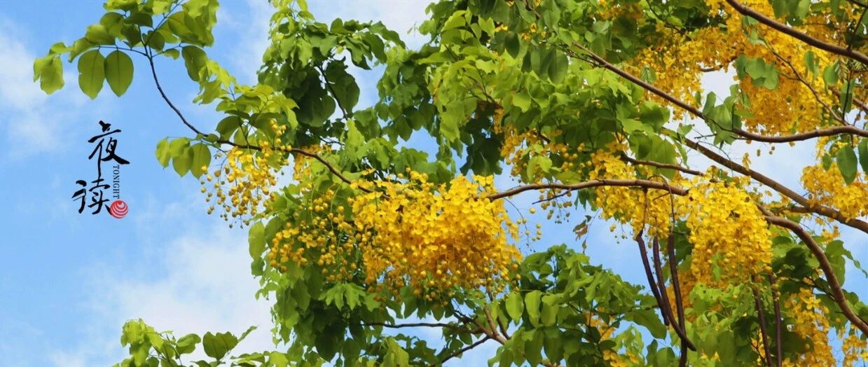 明日小暑｜温风至，盛夏始