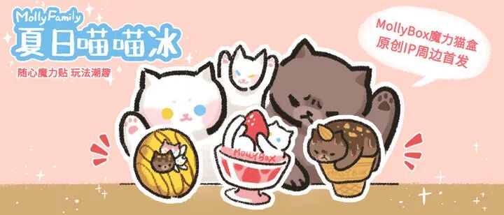 【独家访谈】魔力猫盒——为猫奴带来的赏心悦目