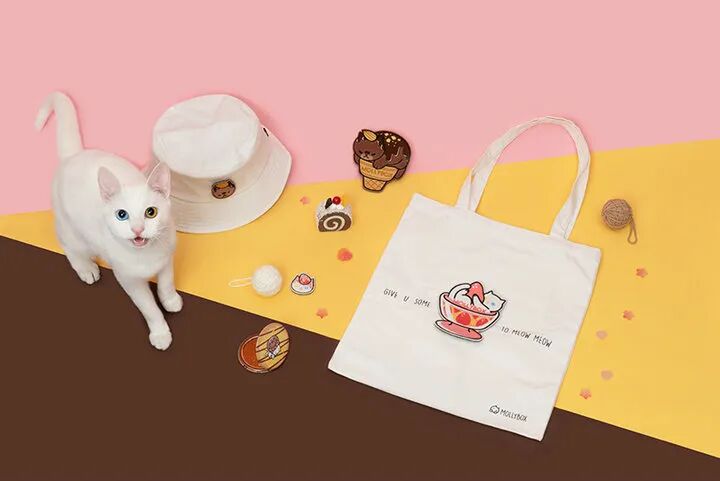 【独家访谈】魔力猫盒——为猫奴带来的赏心悦目