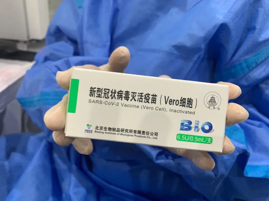 彭博社最新抗疫排行榜：新西兰第2，澳洲第3，印度第30（组图） - 11