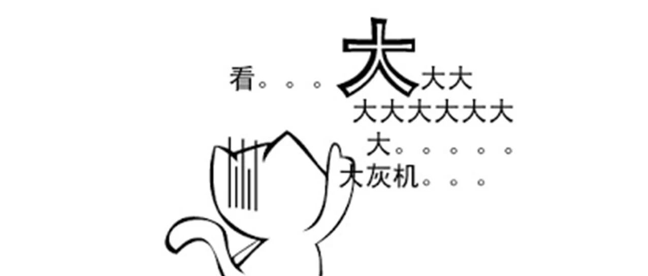 台军公布歼-16照片（微博网友画的）