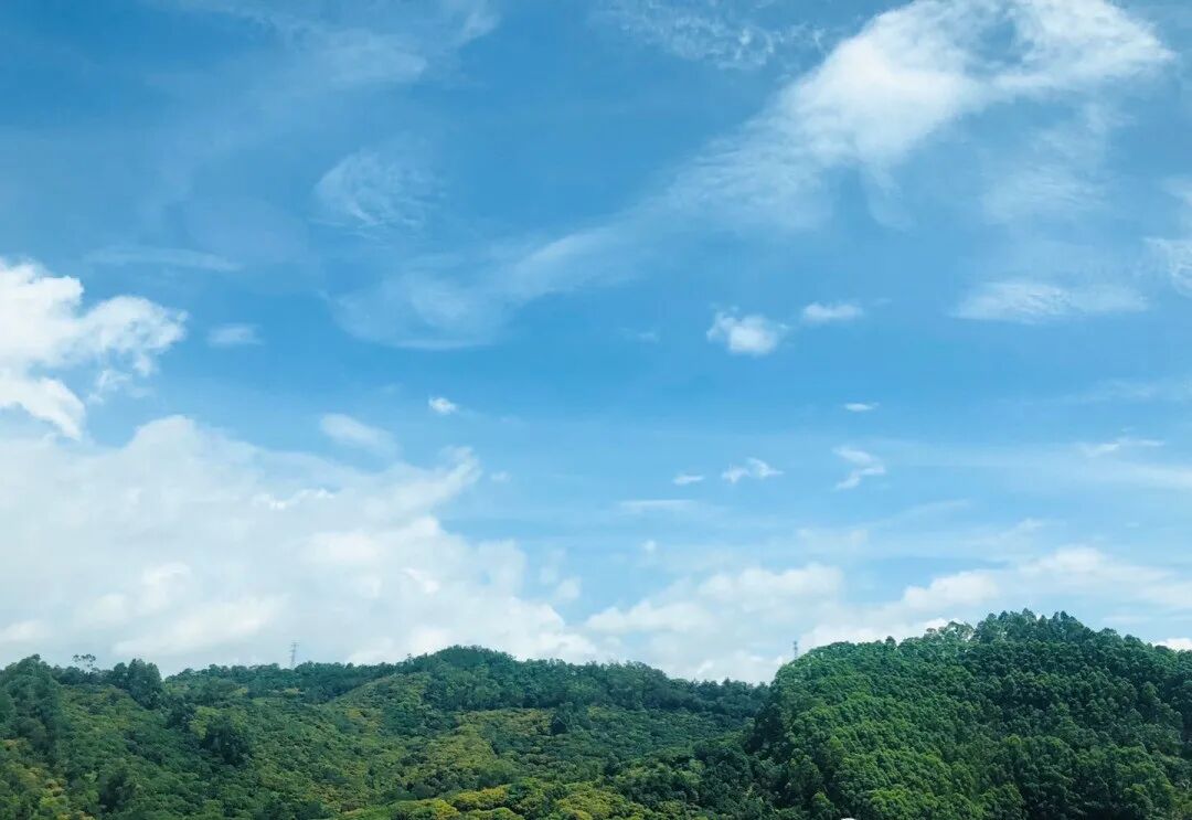 南沙景业东湖洲豪园现房，建面115~121㎡