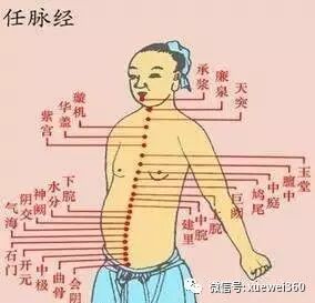 拍打此处，功效顶20个穴位，越拍，身体越好~