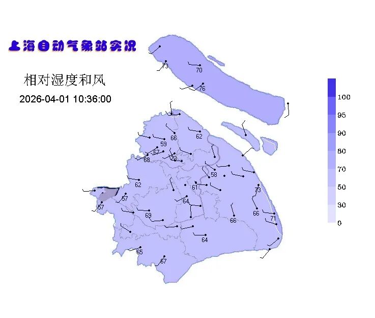 屏幕截图 2026-04-01 104656.jpg