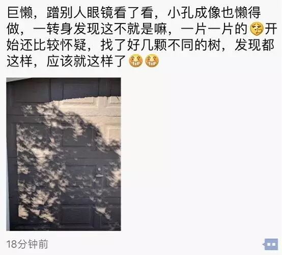 为了看今天的日食 这些华人都!拼!了!还有人拿出了秘密武器（组图） - 25