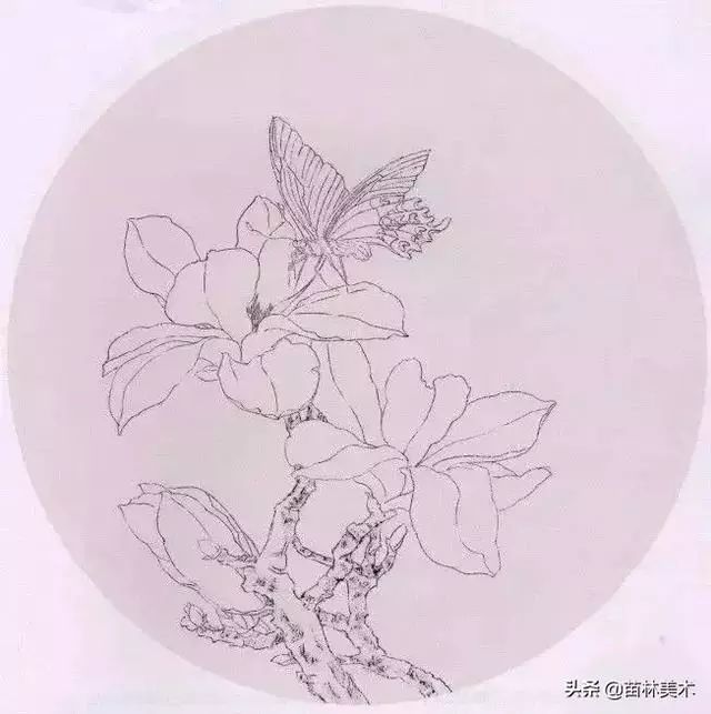 图文教程 工笔画玉兰蝴蝶 玉树迎风占早春 绘画步骤 古今字画 微信公众号文章阅读 Wemp