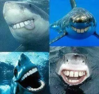 飞机杯买大的好还是小的好一点狐小贱丨终于鼓起勇气买了个超大号的飞机杯！7