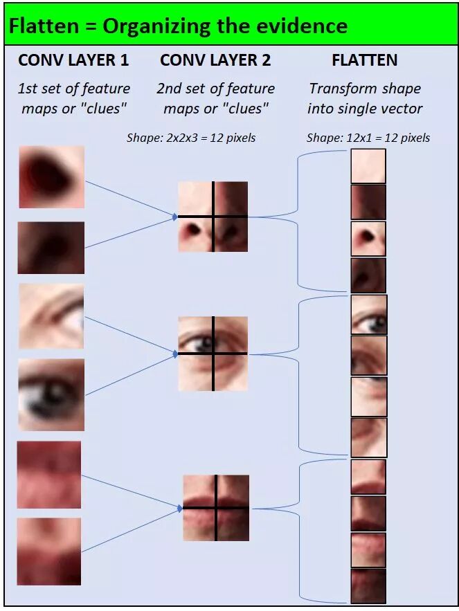 独热编码_独热编码_独热编码