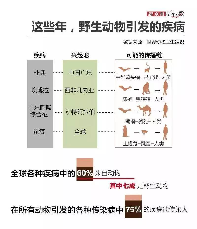 蝙蝠飞到家里是什么预兆_蝙蝠飞到家代表什么_蝙蝠飞到家里是什么