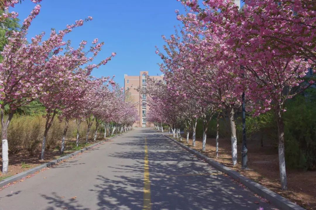 山东菏泽音乐艺术专修学院官网_山东管理学院官网_山东煤炭技师学院官网